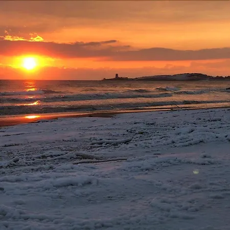 Candida ヴィエステ